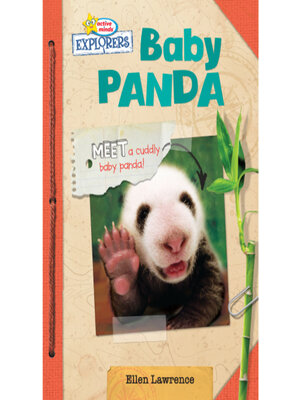 cover image of Active Minds Explorers Baby Panda